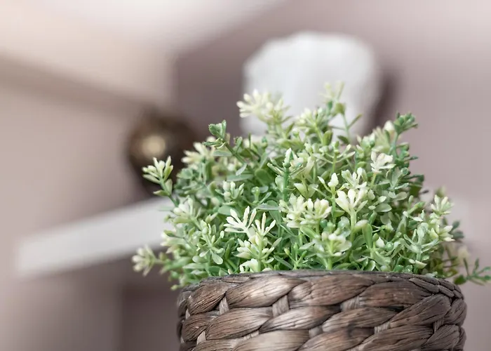 Bakats Square Premium With Ac Apartment