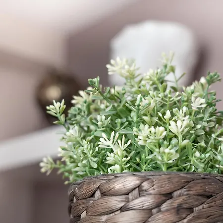 Bakats Square Premium With Ac Daire